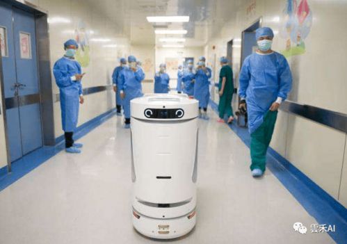 人工智能启航 基础软件如何为中国经济注入新动能